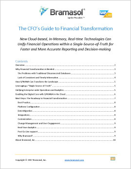 CFO’s Guide to Financial Transformation