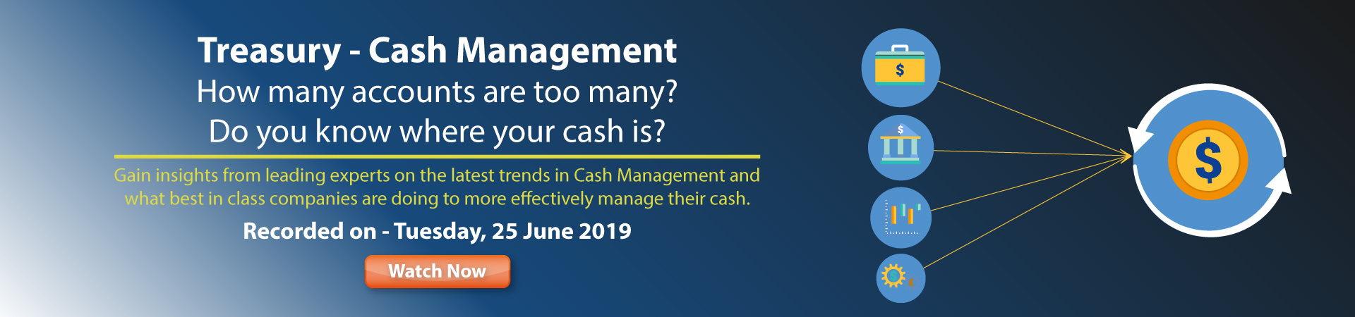 Treasury - Cash Management banner