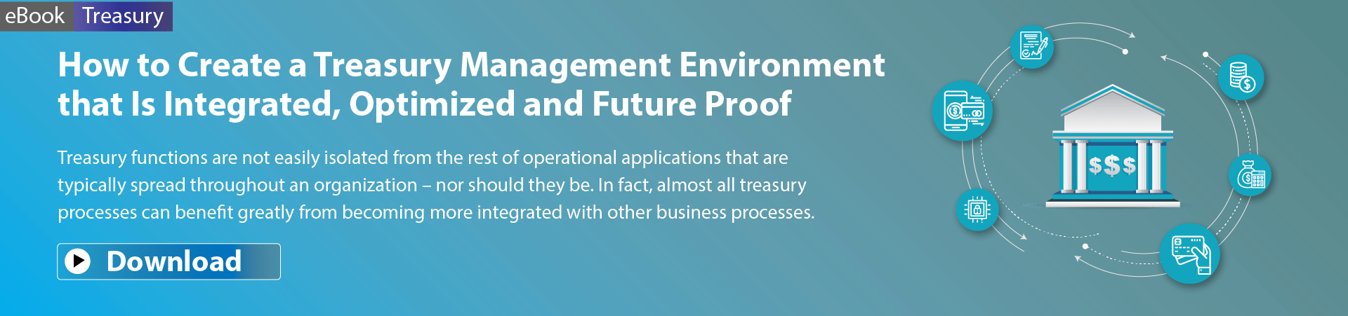 How to create a Treasury Management Environment Banner